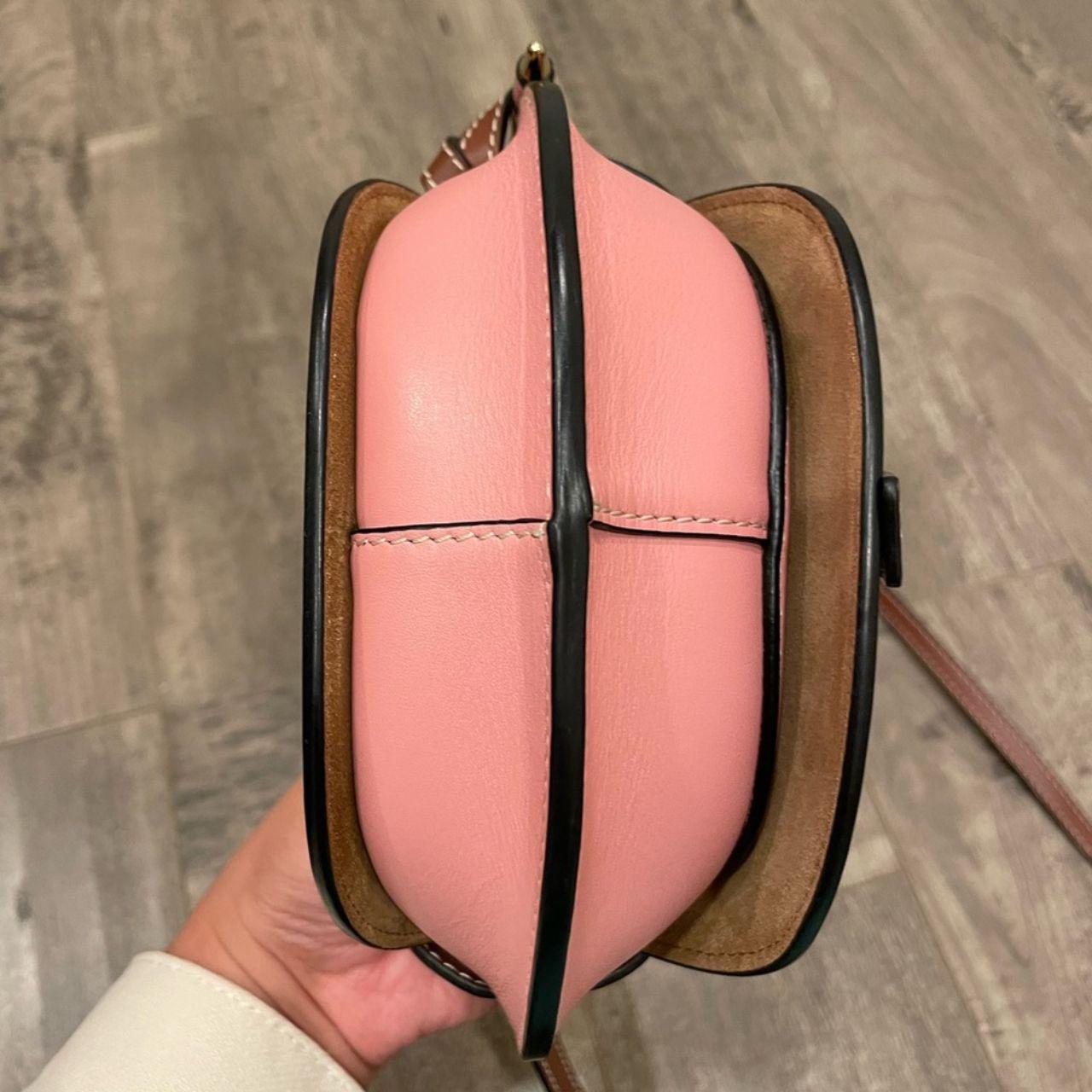 Loewe Mini Gate Pink and Brown