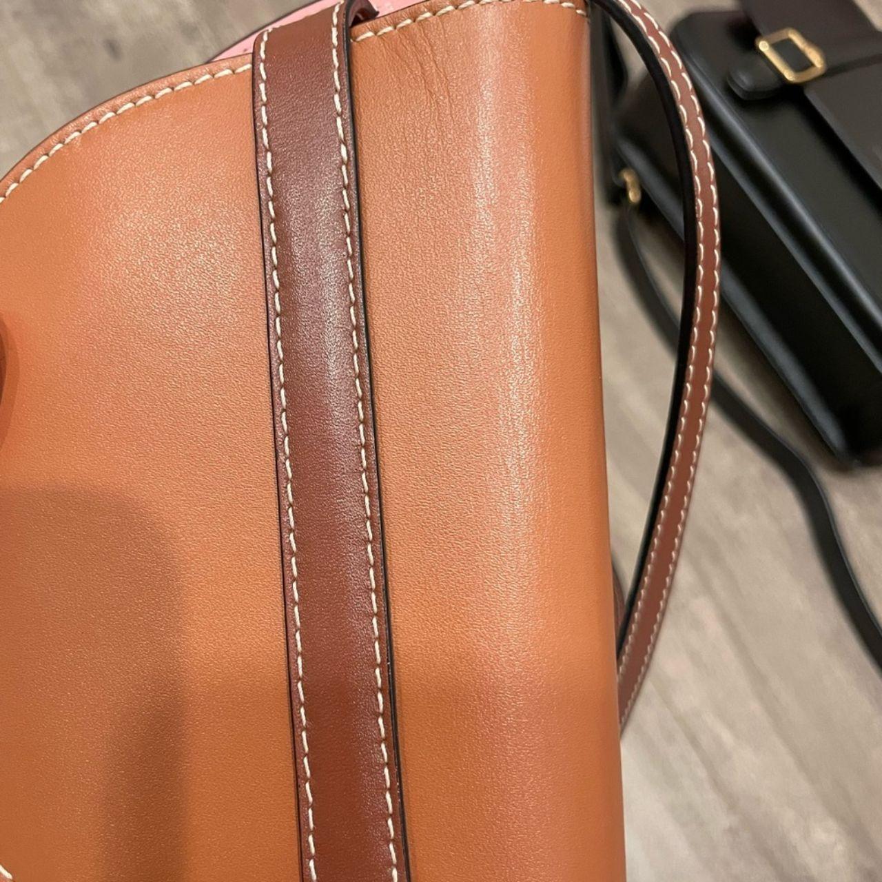 Loewe Mini Gate Pink and Brown
